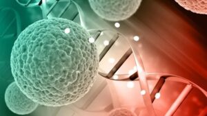 The global burden of cancer: alarming trends and challenges for medicine